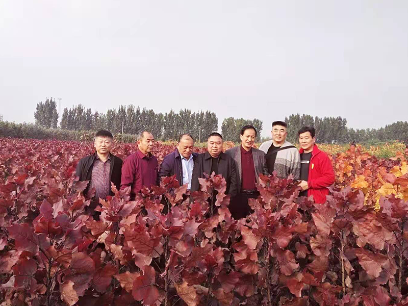 东方彩韵添彩军营村，筑梦高山初心广场