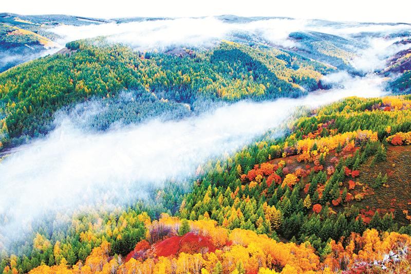 开展大规模国土绿化行动 厚植美丽中国亮丽底色