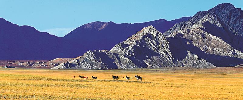 构建以国家公园为主体的自然保护地体系给子孙后代留下珍贵的自然资产