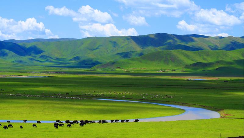 践行习近平生态文明思想 奋力谱写林草高质量发展新篇章